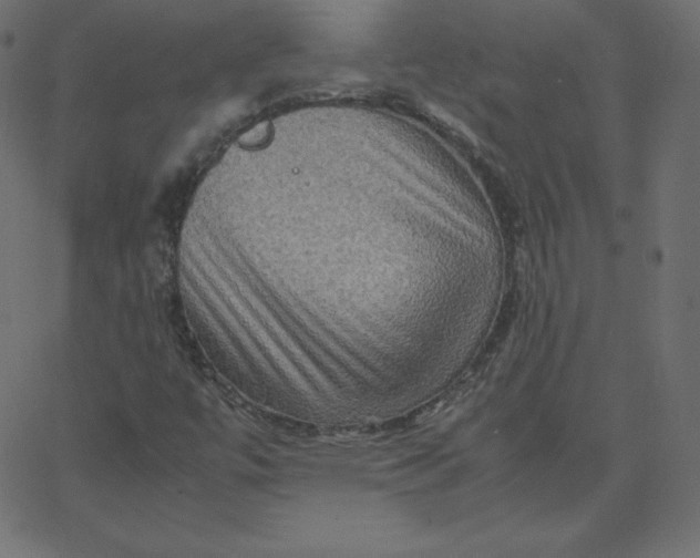 X0000067851447200604271633