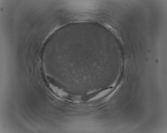 X0000067851449200604271633