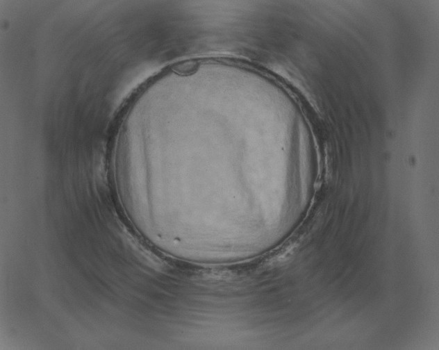 X0000067851452200604271633