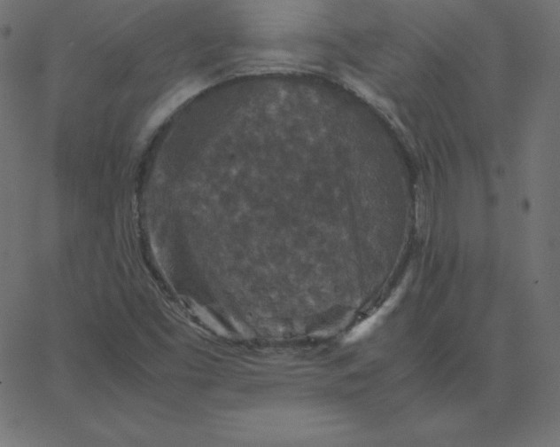 X0000067851453200604271633