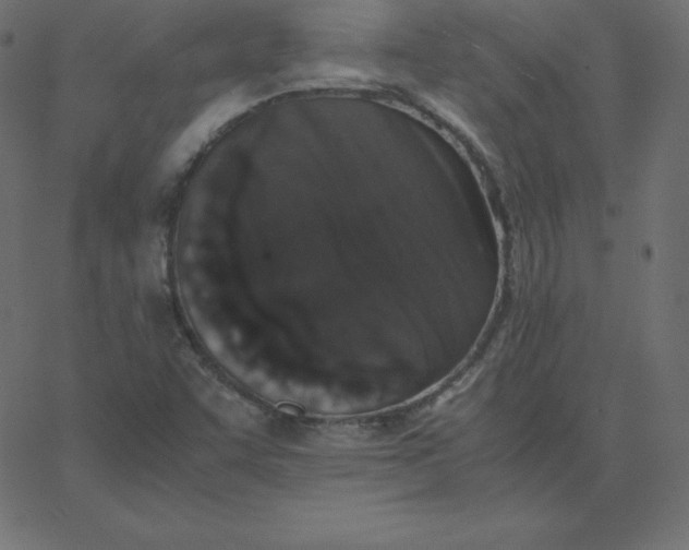 X0000067851455200604271633