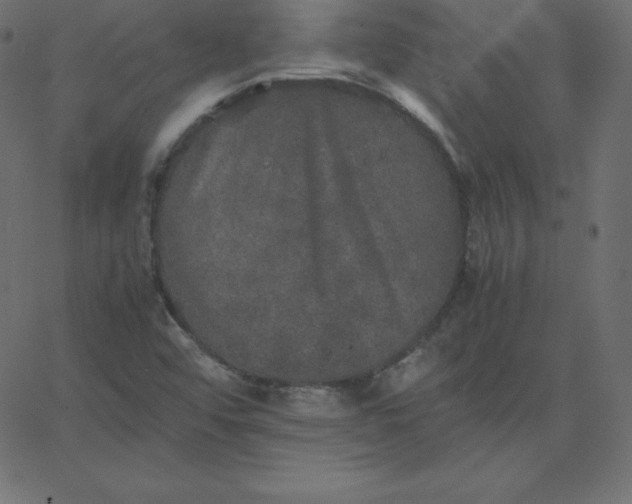 X0000067851456200604271633