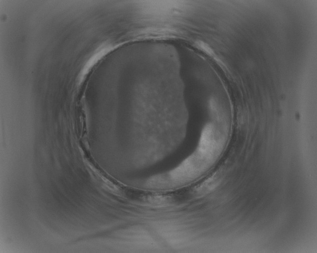 X0000067851459200604271633