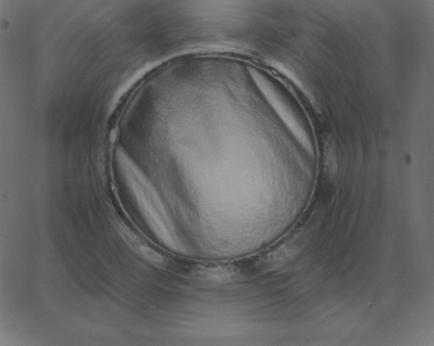 X0000067851460200604271633