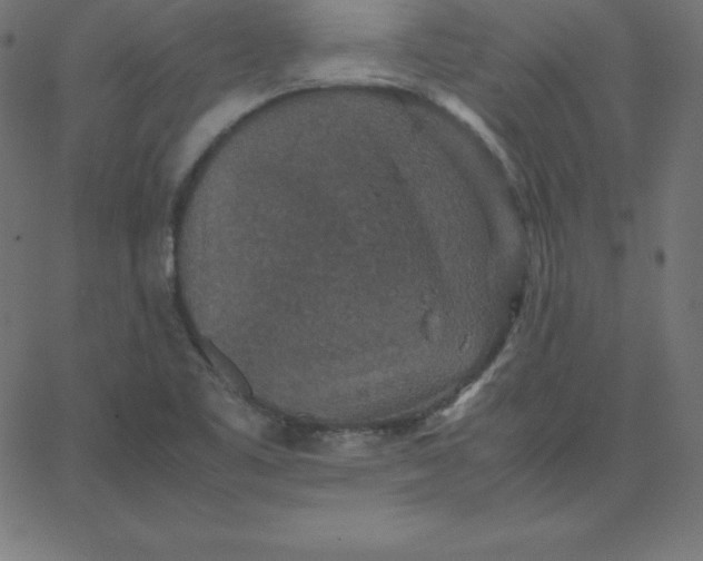 X0000067851461200604271633