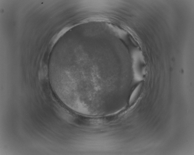 X0000067851465200604271633