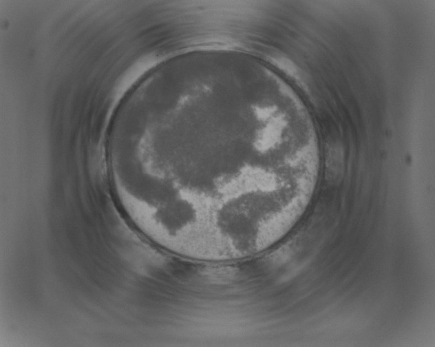 X0000067851466200604271633