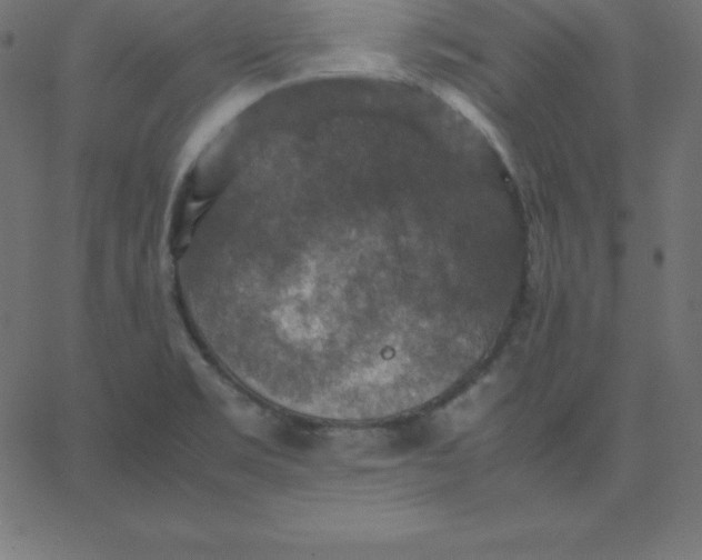 X0000067851469200604271632