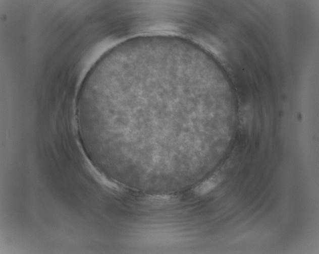 X0000067851470200604271632