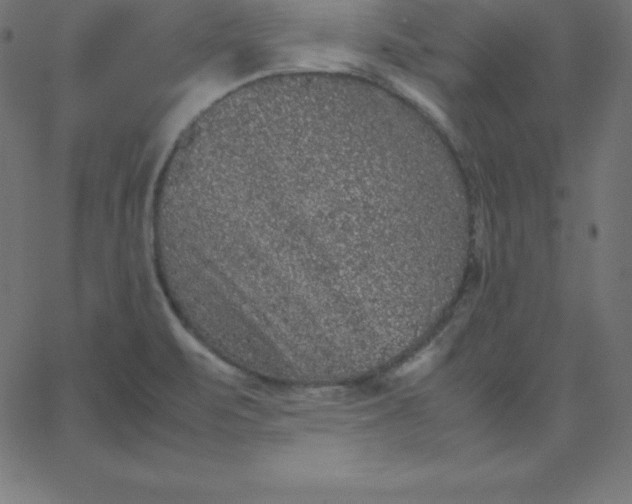 X0000067851471200604271632