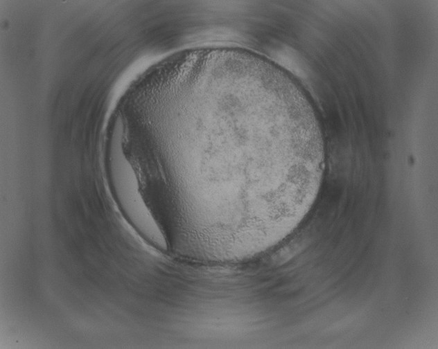 X0000067851472200604271632