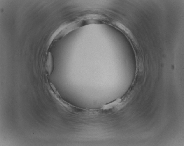 X0000067851473200604271632