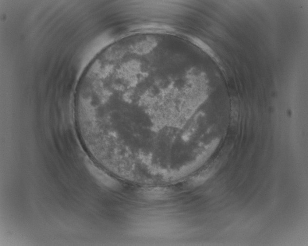 X0000067851474200604271632