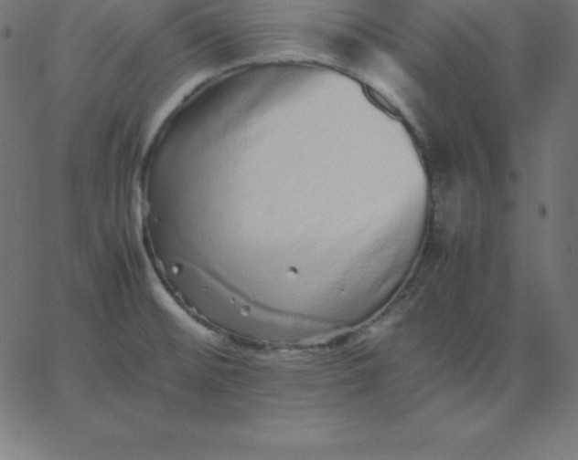 X0000067851476200604271632