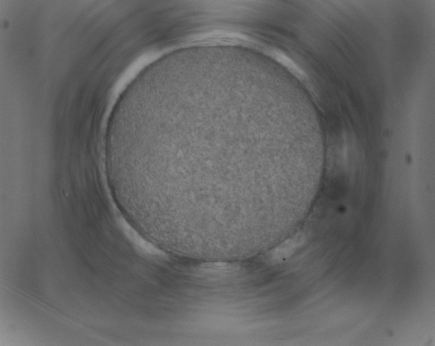 X0000067851478200604271632