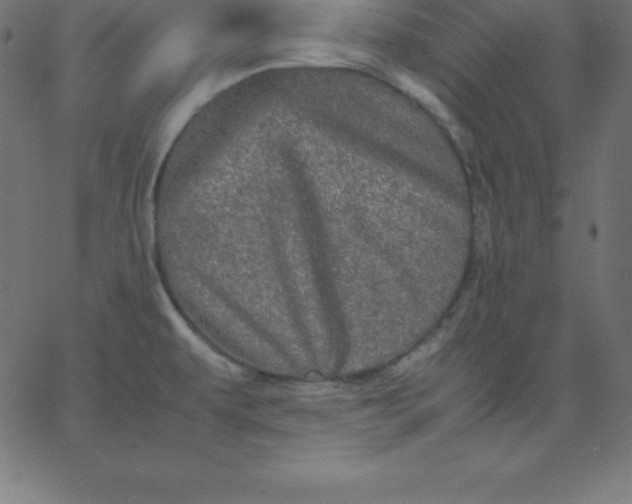 X0000067851479200604271632