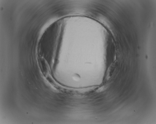 X0000067851480200604271632