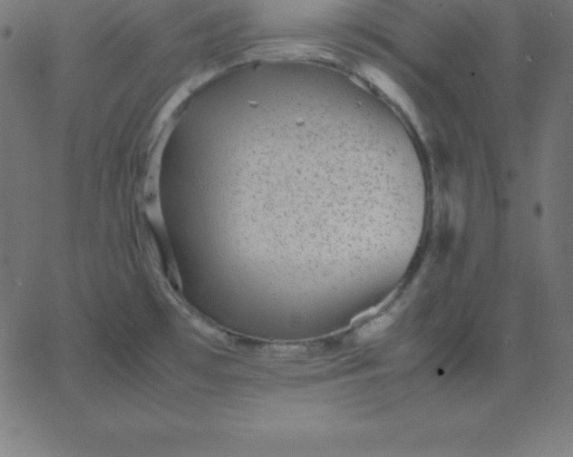 X0000067851481200604271632