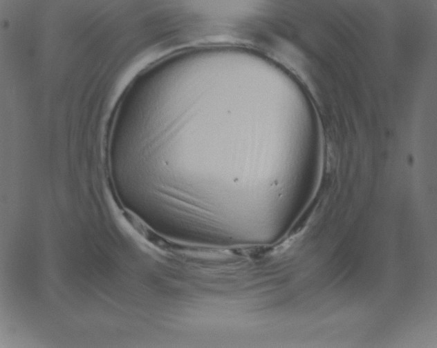 X0000067851483200604271632