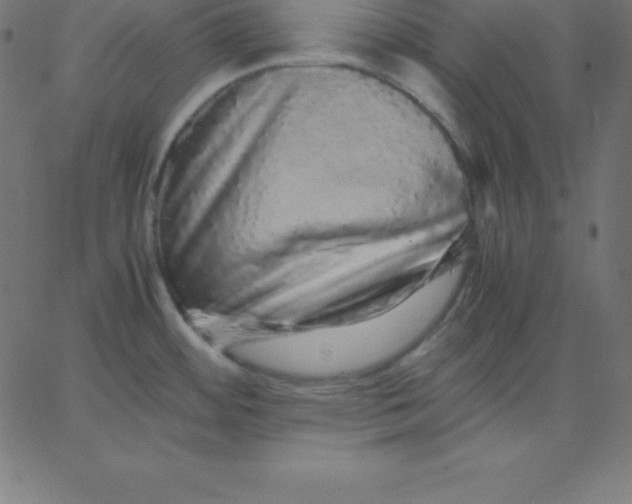 X0000067851484200604271632