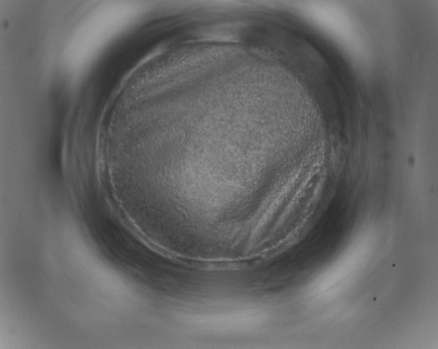 X0000067851487200604271632