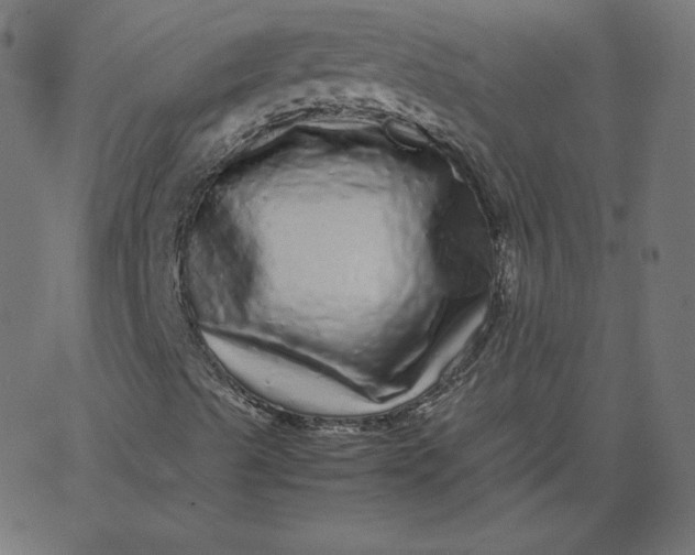 X0000067851489200604271631