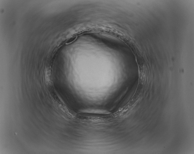 X0000067851490200604271631