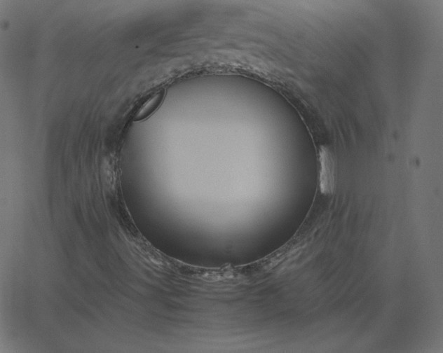 X0000067851491200604271631