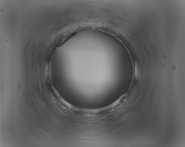 X0000067851492200604271631