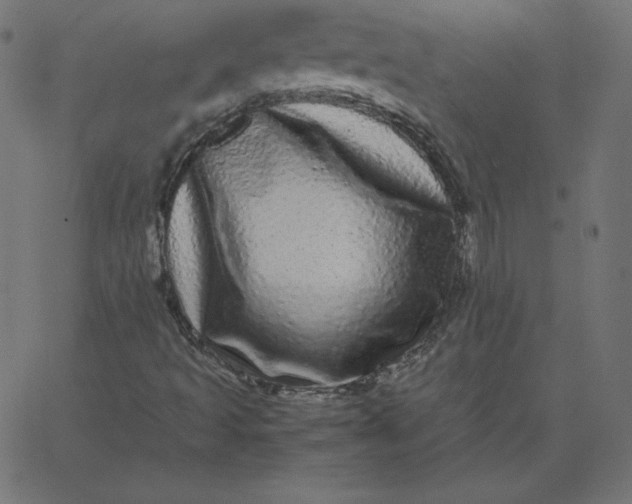 X0000067851493200604271631