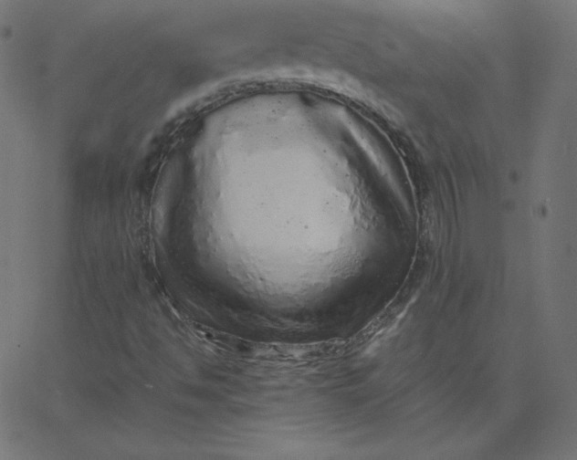 X0000067851494200604271631