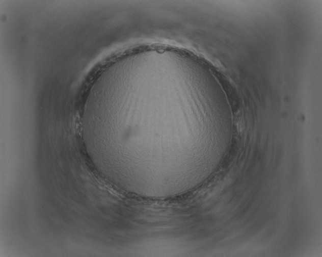 X0000067851495200604271632