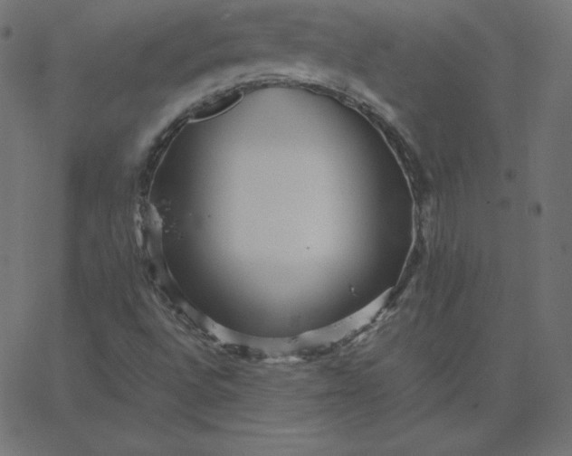 X0000067851496200604271632