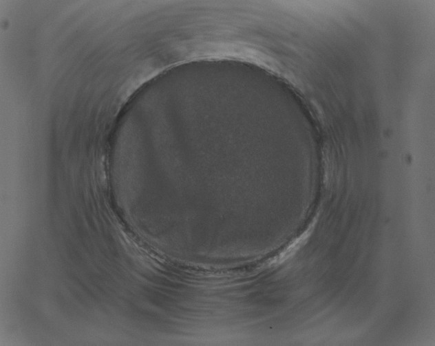 X0000067851497200604271632