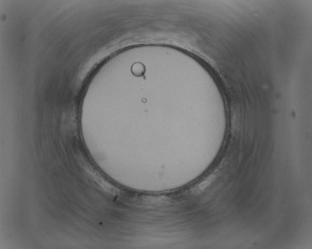 X0000067851498200604271632