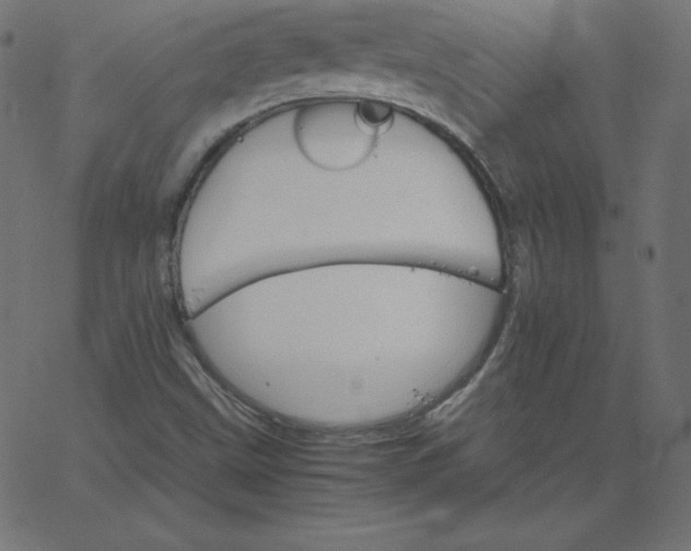 X0000067851499200604271632