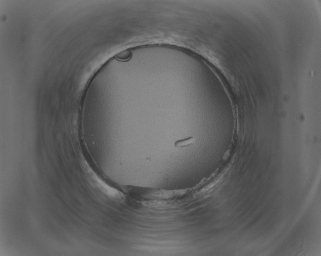 X0000067851500200604271632