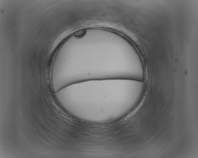 X0000067851501200604271632