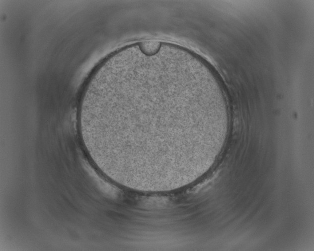 X0000067851503200604271632