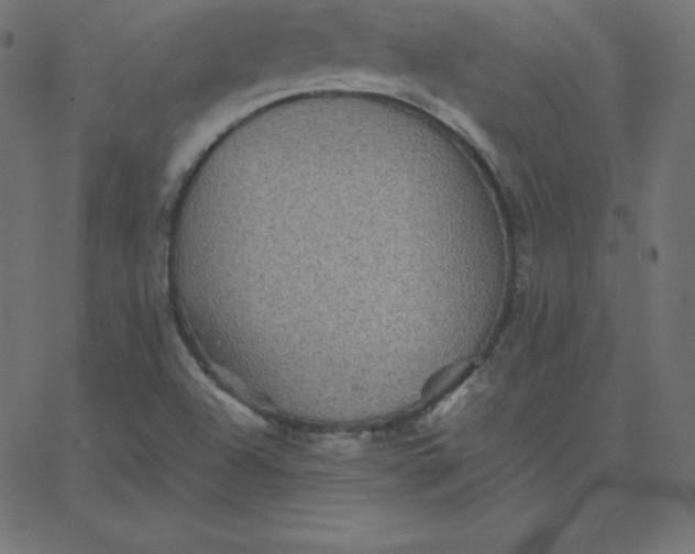 X0000067851504200604271632