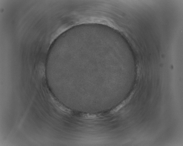 X0000067851505200604271632