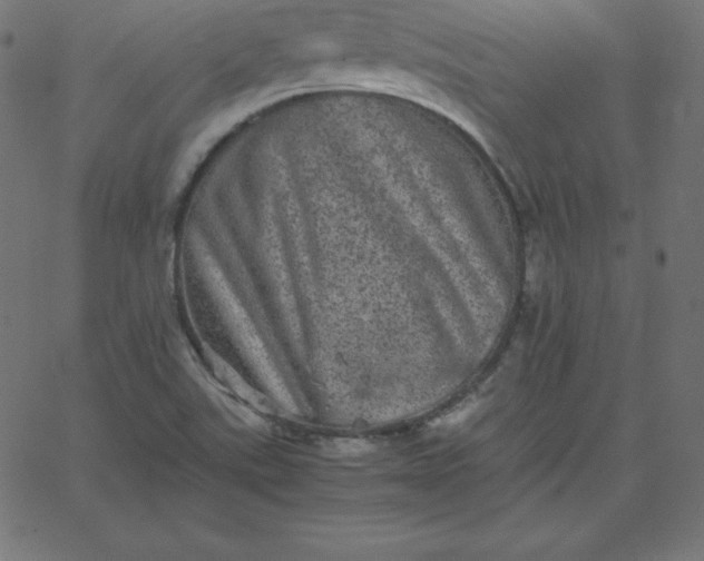 X0000067851507200604271632