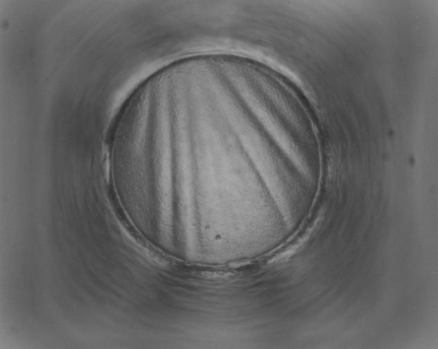 X0000067851509200604271632