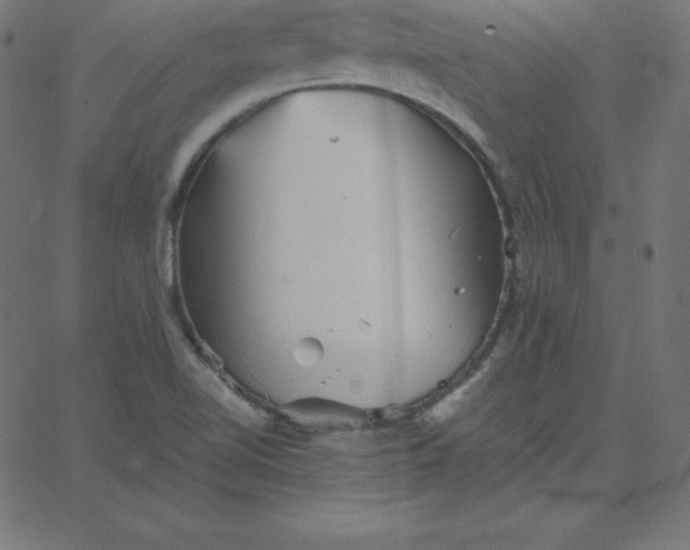 X0000067851510200604271632