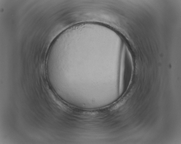 X0000067851513200604271632