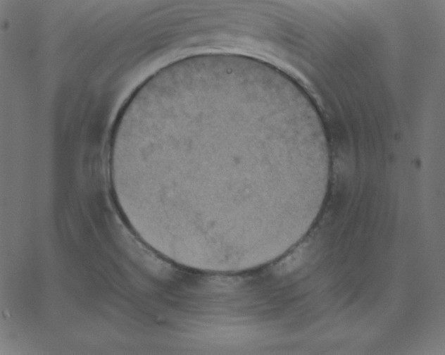 X0000067851514200604271632