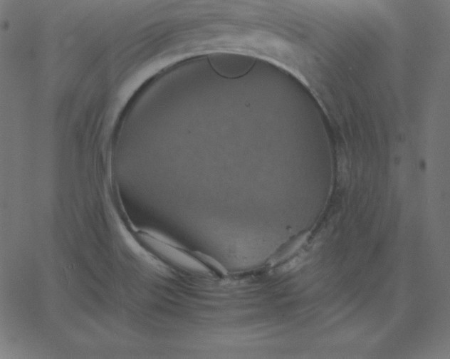 X0000067851515200604271632