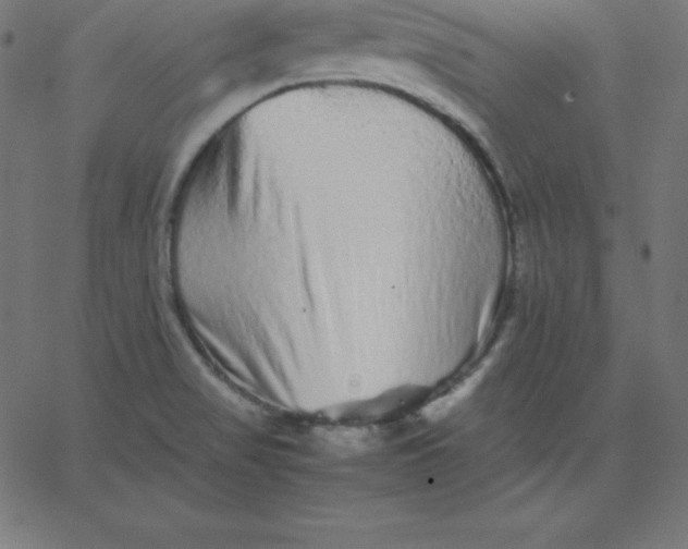 X0000067851517200604271632