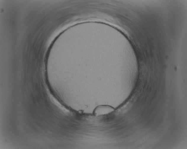 X0000067851518200604271632