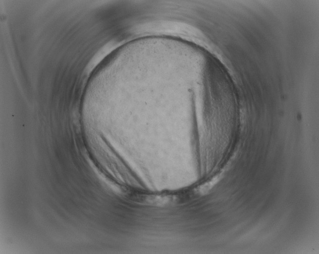 X0000067851521200604271632